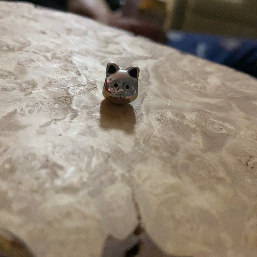 Pandora kitty charm